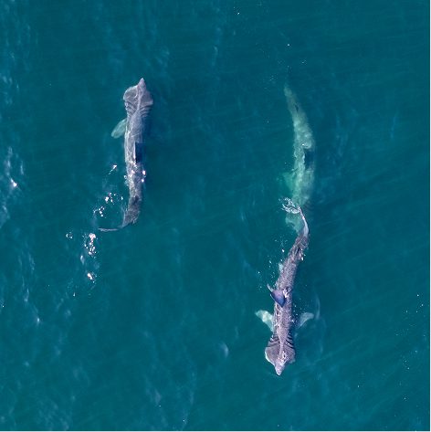 1 Day Start Sailing Website Pix (2) 1