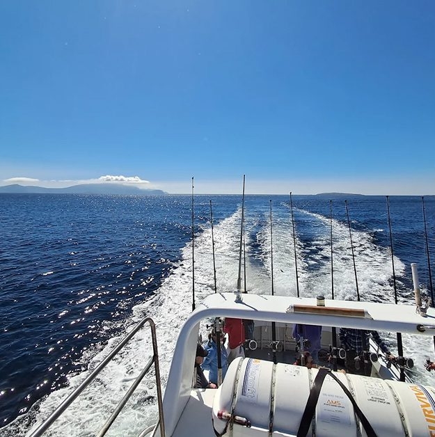 1 Day Start Sailing Website Pix (2) 1