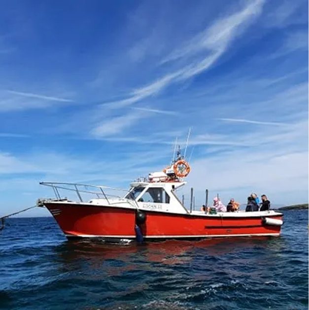 1 Day Start Sailing Website Pix (2) 1