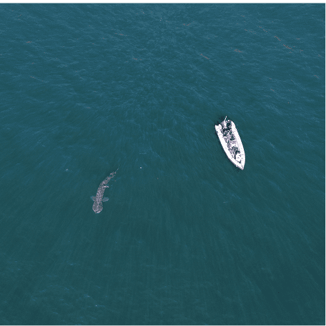 1 Day Start Sailing Website Pix (2) 1