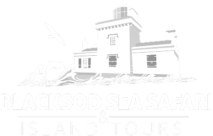 Blacksod Sea Safari