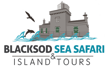 Blacksod Sea Safari